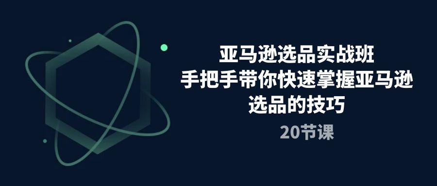 亚马逊选品实战班，手把手带你快速掌握亚马逊选品的技巧(20节课-精品虚拟资源库