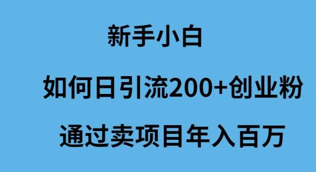 (9668期)新手小白如何日引流200+创业粉通过卖项目年入百万-精品虚拟资源库