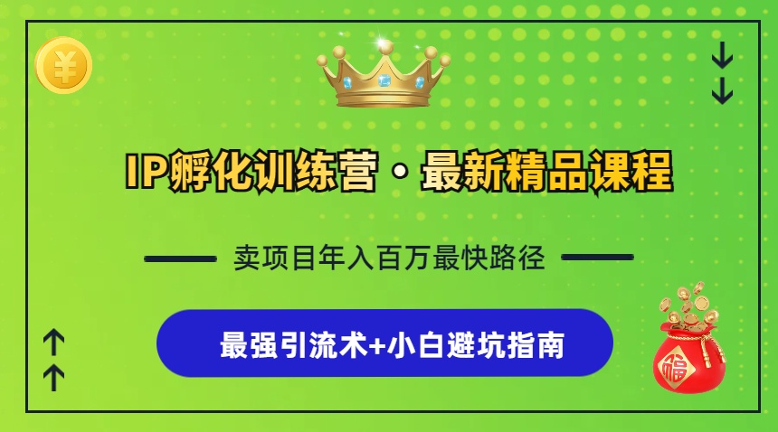IP孵化训练营，知识付费全流程+最强引流术+小白避坑指南-精品虚拟资源库