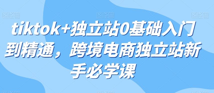 tiktok+独立站0基础入门到精通，跨境电商独立站新手必学课-精品虚拟资源库