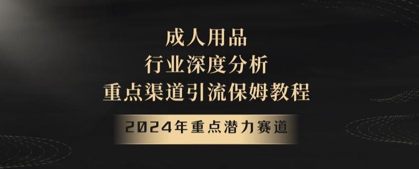 2024年重点潜力赛道，成人用品行业深度分析，重点渠道引流保姆教程【揭秘】-精品虚拟资源库