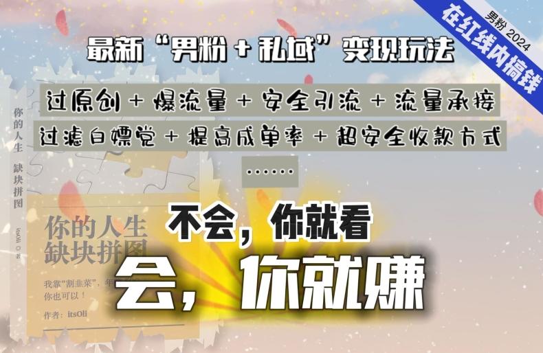 2024，“男粉+私域”还是最耐造、最赚、最轻松、最愉快的变现方式【揭秘】-精品虚拟资源库