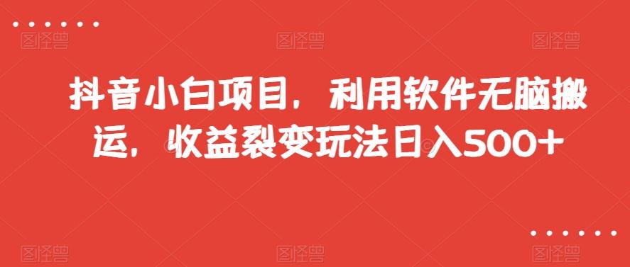 抖音小白项目，利用软件无脑搬运，收益裂变玩法日入500+【揭秘】-精品虚拟资源库