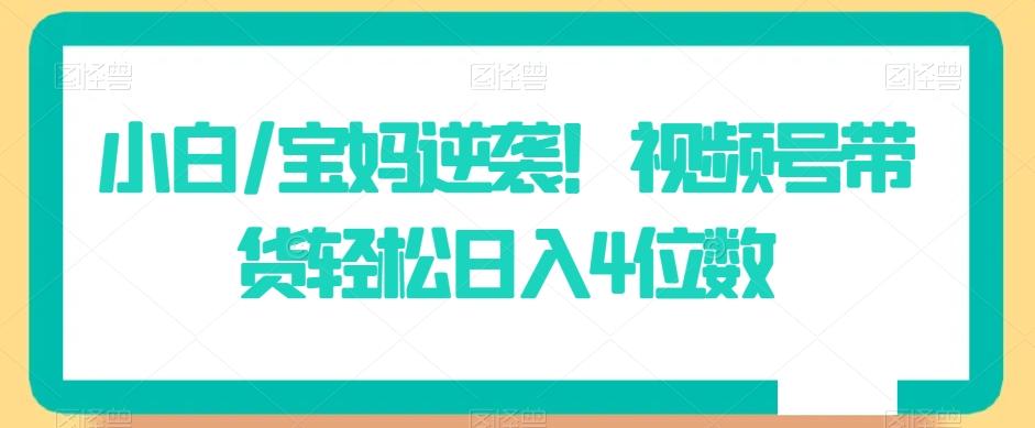 小白/宝妈逆袭！视频号带货轻松日入4位数【揭秘】-精品虚拟资源库
