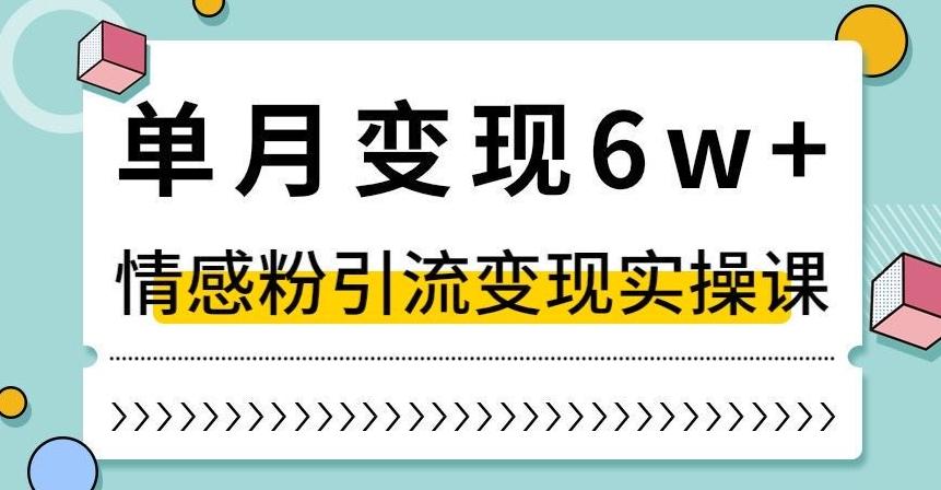 单月变现6W+，抖音情感粉引流变现实操课，小白可做，轻松上手，独家赛道【揭秘】-精品虚拟资源库