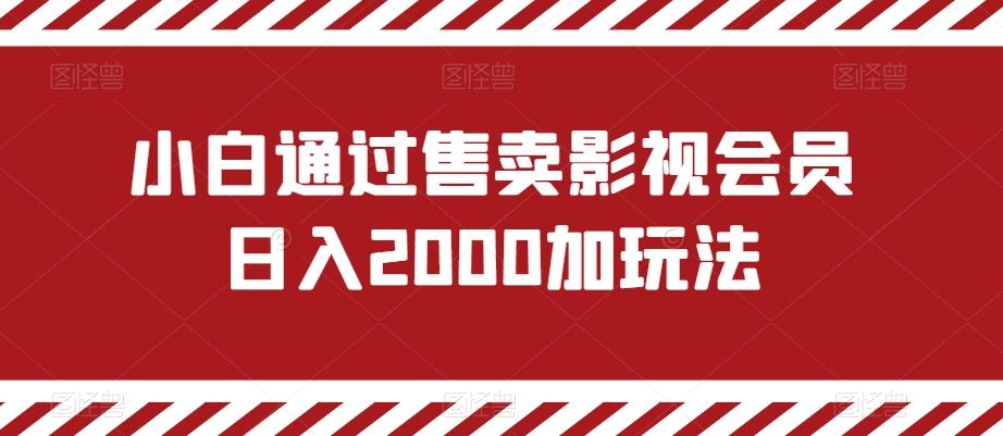 小白通过售卖影视会员日入2000加玩法-精品虚拟资源库