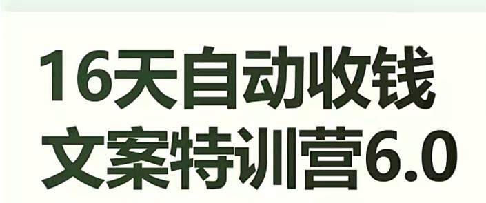 16天自动收钱文案特训营6.0，学会儿每天自动咔咔收钱-精品虚拟资源库