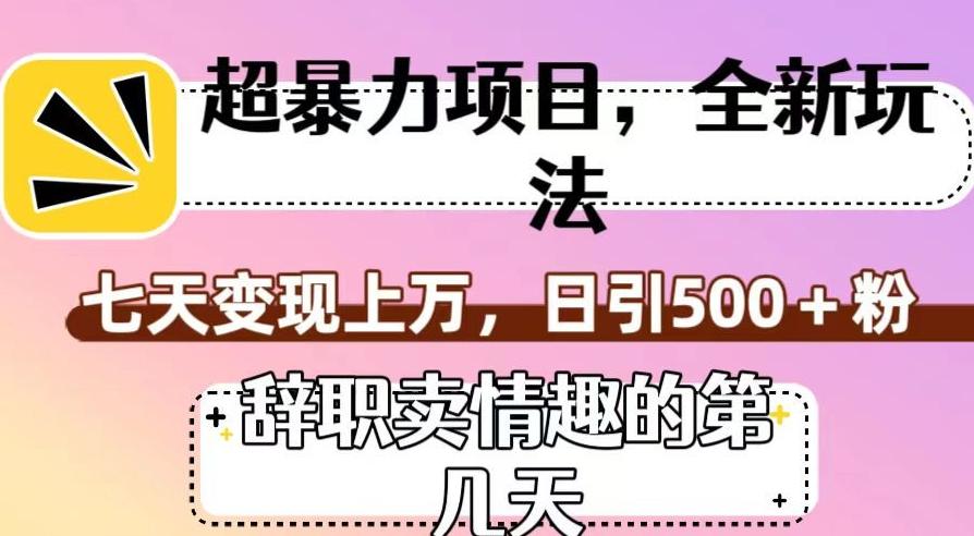 超暴利项目，全新玩法（辞职卖情趣的第几天），七天变现上万，日引500+粉【揭秘】-精品虚拟资源库