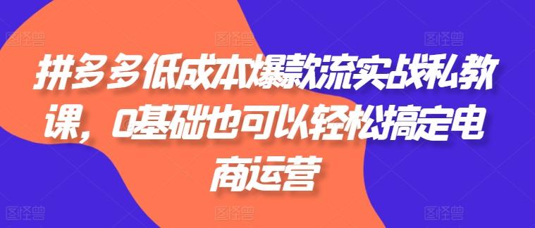 拼多多低成本爆款流实战私教课，0基础也可以轻松搞定电商运营-精品虚拟资源库