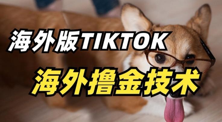 抖音海外版tiktok撸金技术，这个风口行业，赚钱真的不难【揭秘】-精品虚拟资源库