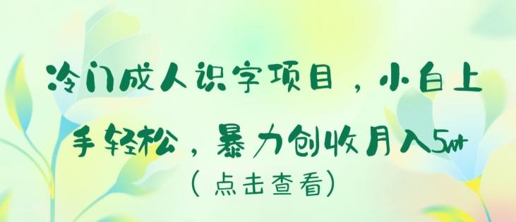 冷门成人识字项目，小白上手轻松，暴力创收月入5w+【揭秘】-精品虚拟资源库