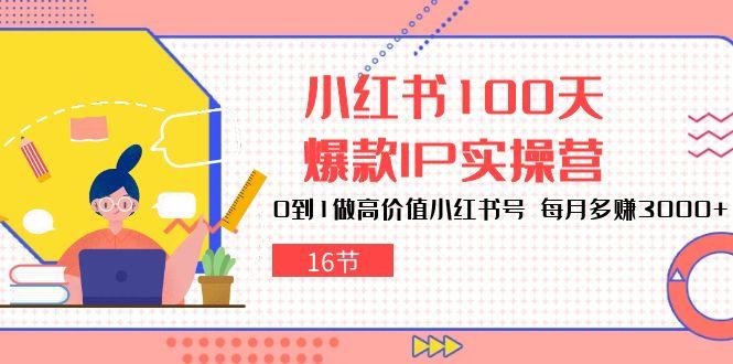 小红书100天-爆款IP实操营，0到1做高价值小红书号 每月多赚3000+(16节-精品虚拟资源库
