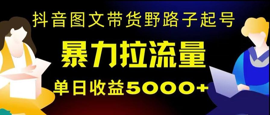 抖音图文带货暴力起号，单日收益5000+，野路子玩法，简单易上手，一部手机即可【揭秘】-精品虚拟资源库
