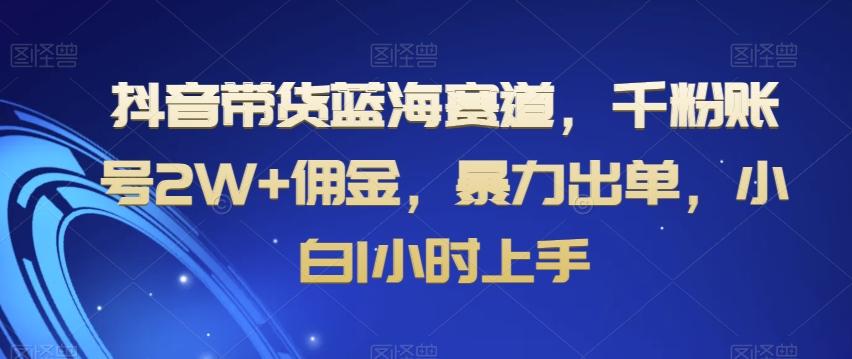 抖音带货蓝海赛道，千粉账号2W+佣金，暴力出单，小白1小时上手【揭秘】-精品虚拟资源库
