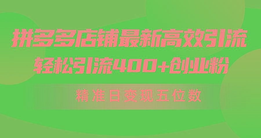 (10041期)拼多多店铺最新高效引流术，轻松引流400+创业粉，精准日变现五位数！-精品虚拟资源库