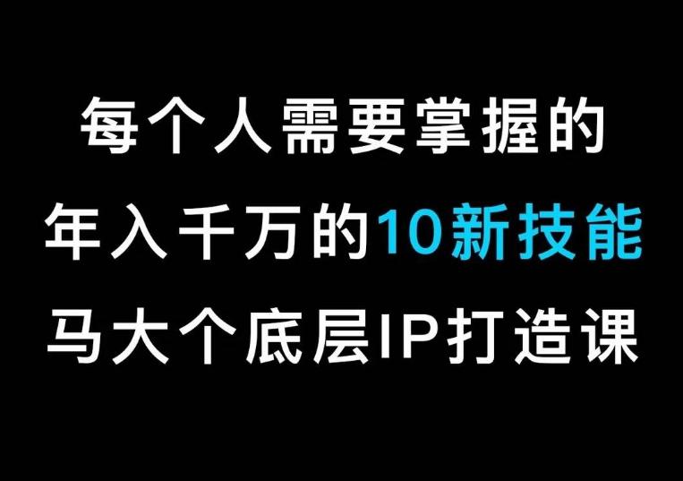 马大个的IP底层逻辑课，​每个人需要掌握的年入千万的10新技能，约会底层IP打造方法！-精品虚拟资源库