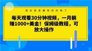 每天观看30分钟视频，一月躺赚1000+美金！保姆级教程，可放大操作【揭秘】-精品虚拟资源库