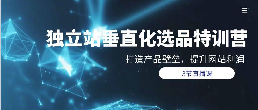 (9925期)独立站-垂直化选品训练营，打造产品壁垒，提升网站利润(3节直播课)-精品虚拟资源库