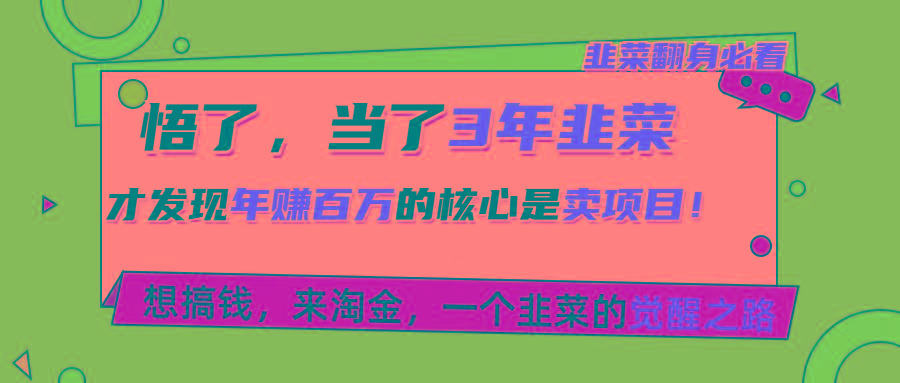 悟了，当了3年韭菜，才发现网赚圈年赚100万的核心是卖项目，含泪分享！-精品虚拟资源库