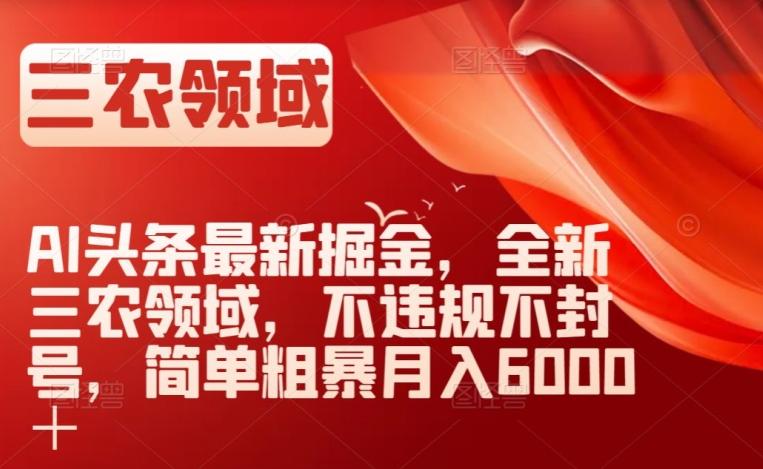 AI头条最新掘金，全新三农领域，不违规不封号，简单粗暴月入6000＋【揭秘】-精品虚拟资源库