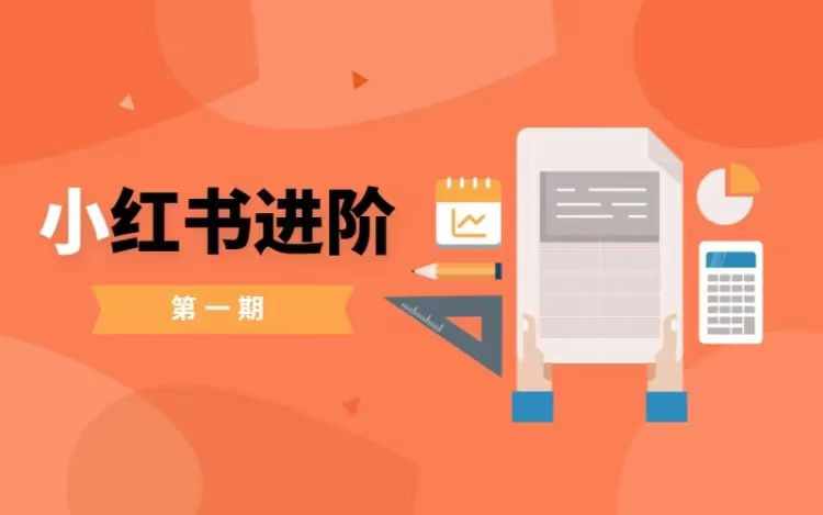 小红书进阶篇，零基础小白实战课，普通人变现的课程-精品虚拟资源库