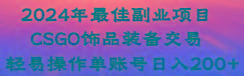 2024年最佳副业项目 CSGO饰品装备交易 轻易操作单账号日入200+-精品虚拟资源库