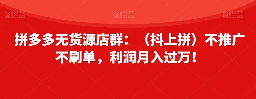 拼多多无货源店群：（抖上拼）不推广不刷单，利润月入过万！【揭秘】-精品虚拟资源库