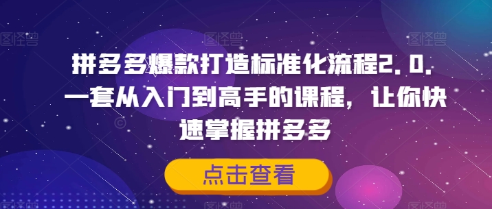 拼多多爆款打造标准化流程2.0，一套从入门到高手的课程，让你快速掌握拼多多-精品虚拟资源库