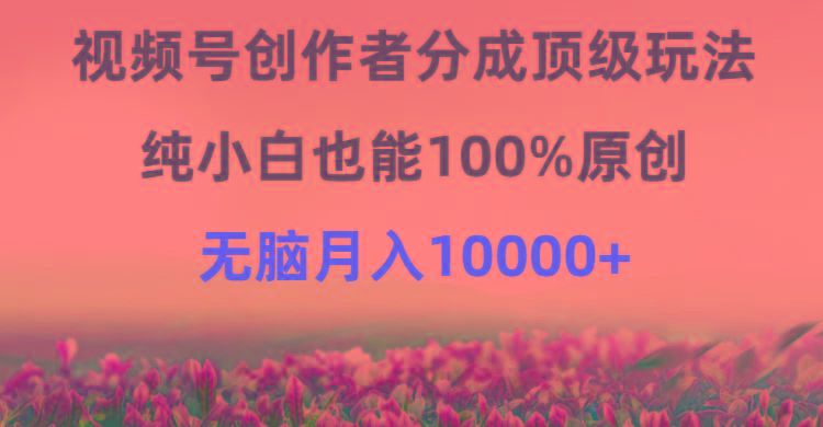 (9608期)视频号创作者分成顶级玩法，纯小白也能100%原创，无脑月入10000+-精品虚拟资源库