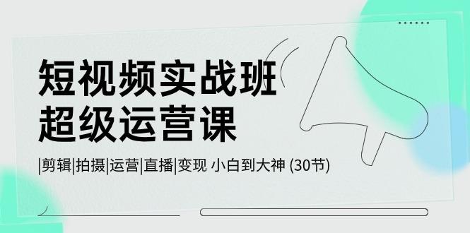 短视频实战班超级运营课 |剪辑|拍摄|运营|直播|变现 小白到大神 (30节)-精品虚拟资源库