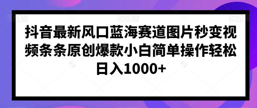 抖音最新风口蓝海赛道图片秒变视频条条原创爆款小白简单操作轻松日入1000+-精品虚拟资源库
