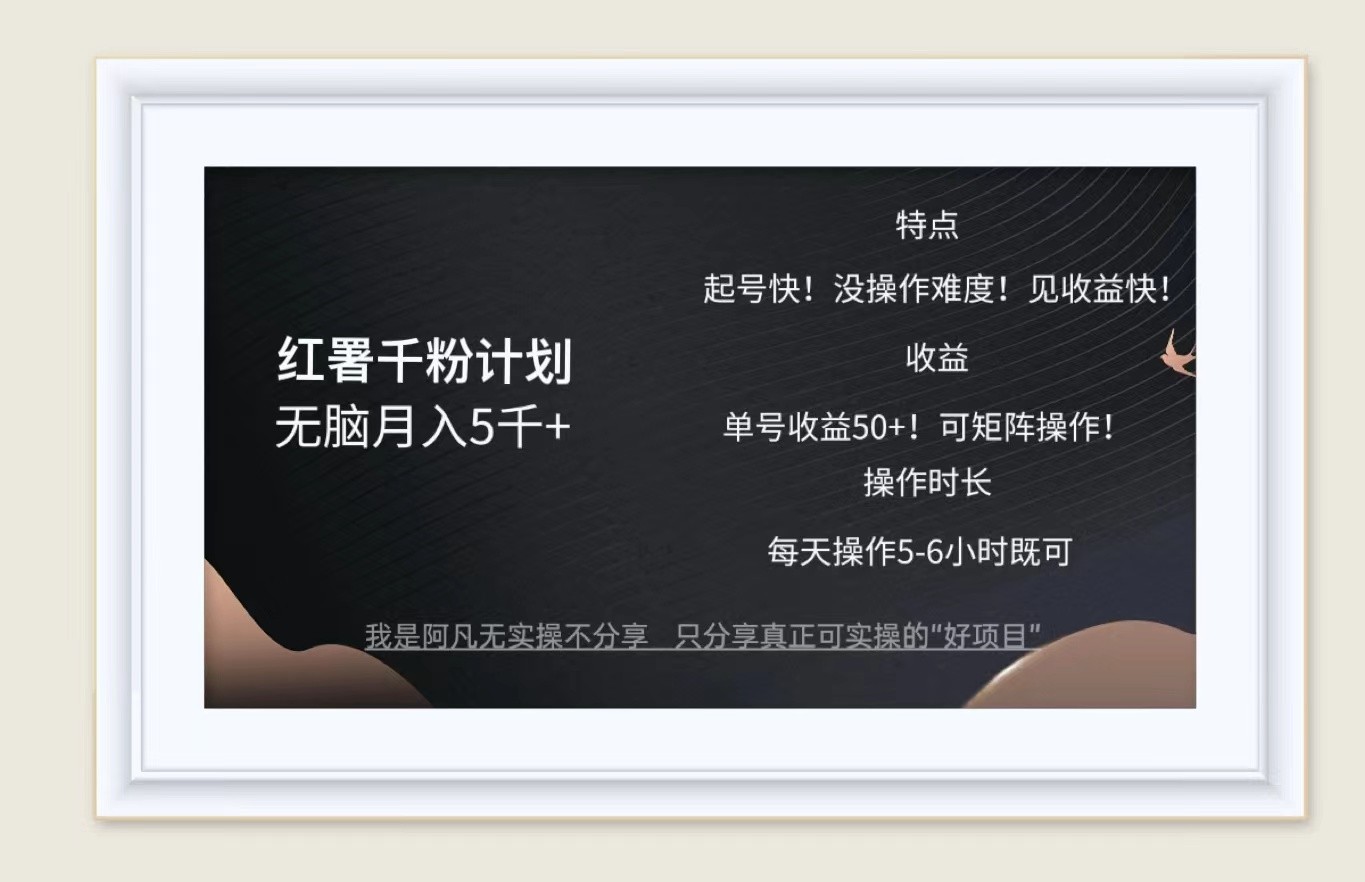 红薯千粉计划无脑月入5千+！既做既赚！-精品虚拟资源库