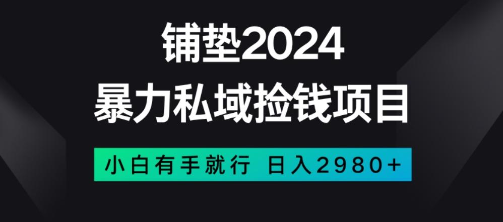 暴力私域捡钱项目，小白无脑操作，日入2980【揭秘】-精品虚拟资源库