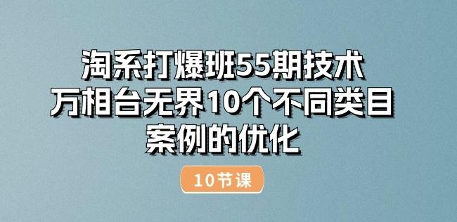 淘系打爆班55期技术：万相台无界10个不同类目案例的优化(10节)-精品虚拟资源库