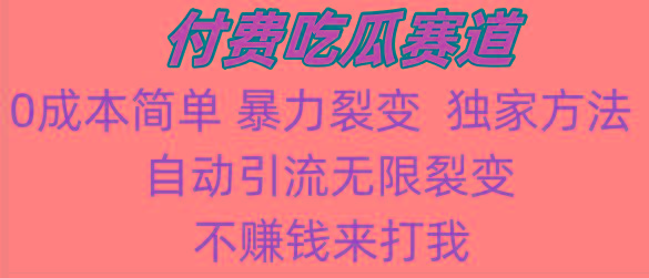 吃瓜付费赛道，暴力无限裂变，0成本，实测日入700+！！！-精品虚拟资源库
