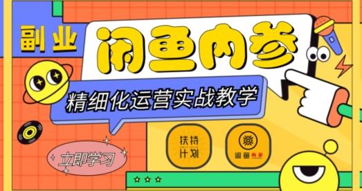 闲鱼精细化运营入门+高阶实战教学，从底层逻辑到轻松变现，多维度玩转闲鱼副业-精品虚拟资源库