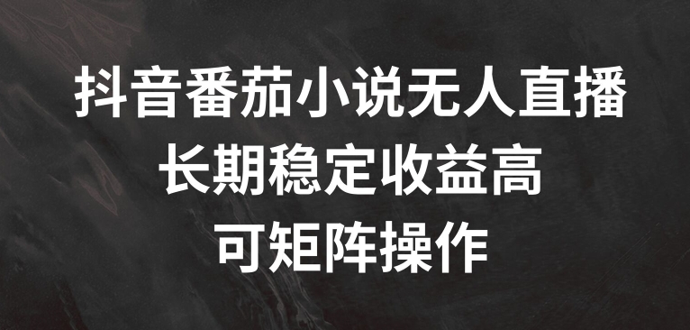 抖音番茄小说无人直播，长期稳定收益高，可矩阵操作【揭秘】-精品虚拟资源库