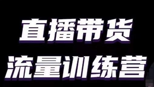 直播带货流量训练营，小白主播必学直播课-精品虚拟资源库