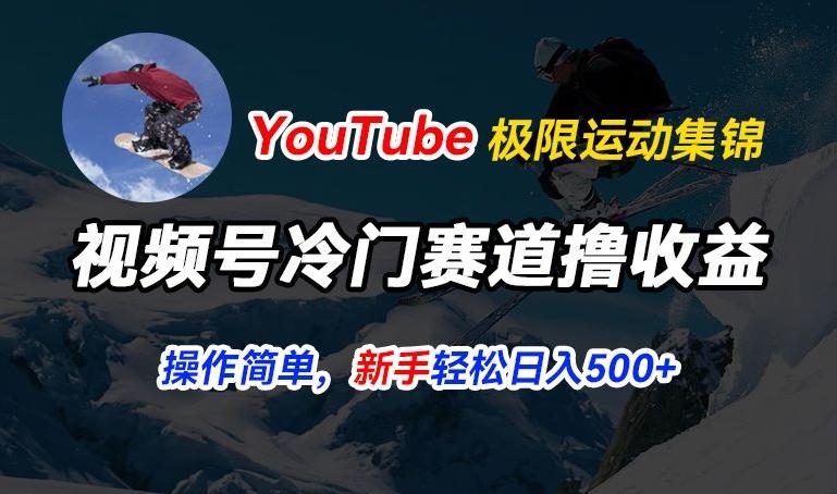 视频号冷门赛道撸收益，YouTube搬运极限运动集锦，暴力起号，操作简单流量高，轻松日入5张【揭秘】-精品虚拟资源库