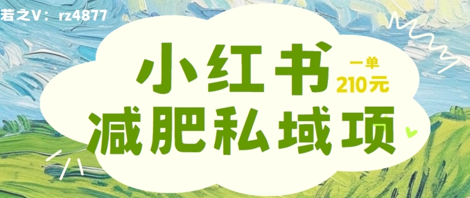 小红书减肥粉，私域变现项目，一单就达210元，小白也能轻松上手【揭秘】-精品虚拟资源库