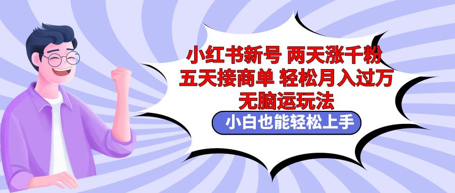 小红书新号两天涨千粉五天接商单轻松月入过万 无脑搬运玩法 小白也能轻…-精品虚拟资源库