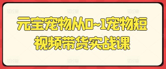 元宝宠物从0~1宠物短视频带货实战课-精品虚拟资源库