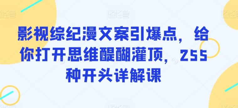 影视综纪漫文案引爆点，给你打开思维醍醐灌顶，255种开头详解课-精品虚拟资源库
