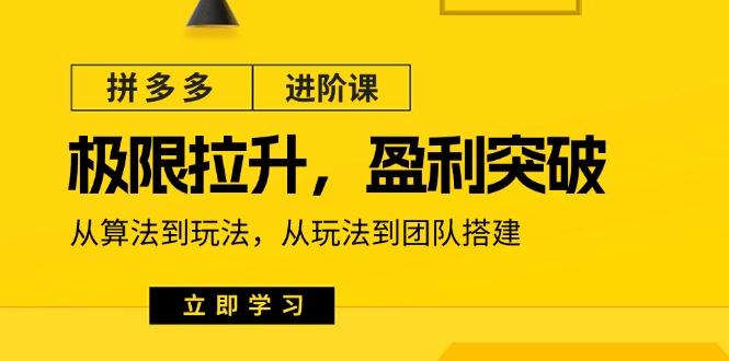 拼多多·进阶课：极限拉升/盈利突破：从算法到玩法 从玩法到团队搭建-18节-精品虚拟资源库