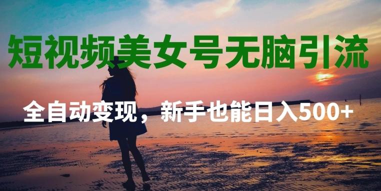 短视频美女号无脑引流，全自动变现，新手也能日入500+-精品虚拟资源库