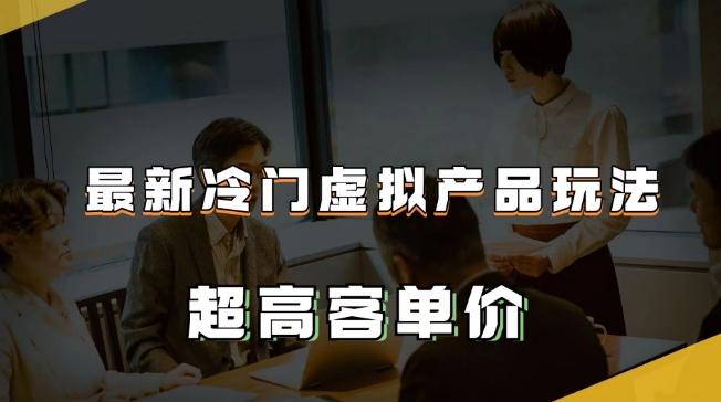 最新冷门虚拟产品玩法，超高客单价，月入2-3万＋【揭秘】-精品虚拟资源库