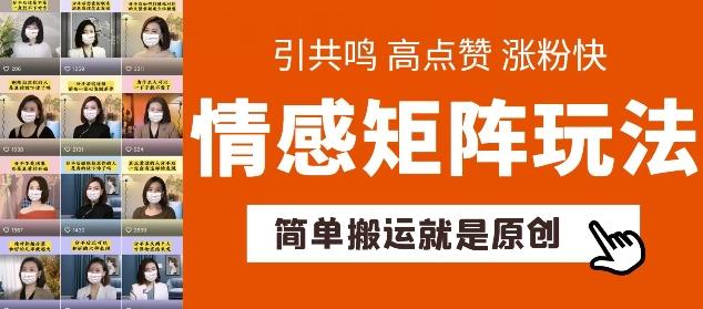 简单搬运，情感矩阵玩法，涨粉速度快，可带货，可起号【揭秘】-精品虚拟资源库