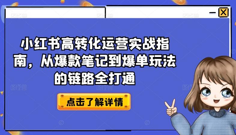 小红书高转化运营实战指南，从爆款笔记到爆单玩法的链路全打通-精品虚拟资源库