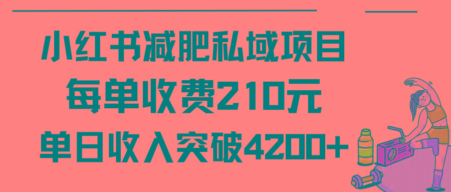(9466期)小红书减肥私域项目每单收费210元单日成交20单，最高日入4200+-精品虚拟资源库