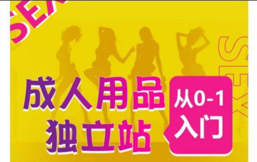 成人用品独立站从0-1入门，成品独立站运营全流程教学，七大好卖成品独立站推荐-精品虚拟资源库